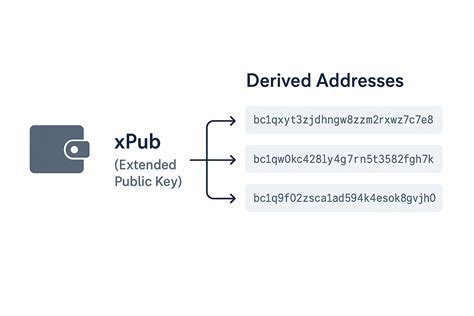 How to use xpub.  Managing multiple addresses for a single Bitcoin wallet can be cum...