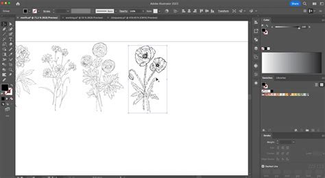 How to vectorize a sketch in illustrator