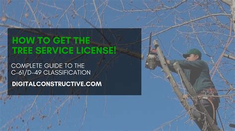 How to verify tree service license. .  ...