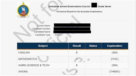 How to view grade 7 results online.  Avoid errors and access your score...