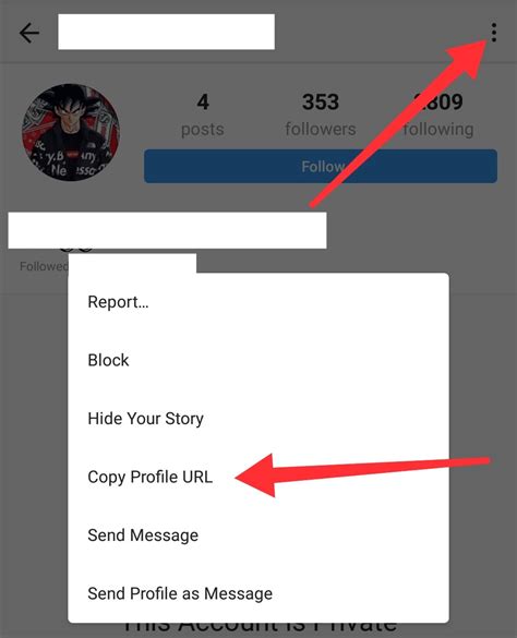 How to view private account in instagram