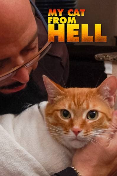 How to watch and stream My Cat From Hell - 2011-2024 on Roku