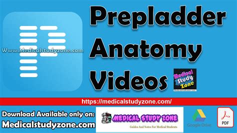 How to watch prepladder videos on laptop.  Throwawaycuzined1 PrepLadder V...