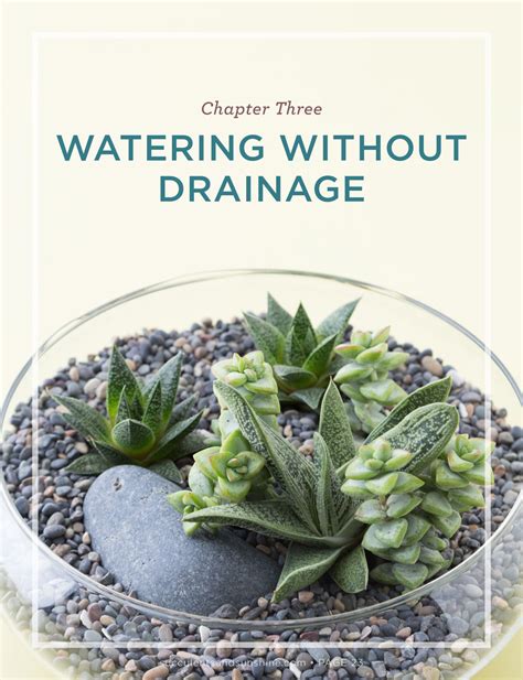 How to water succulents an in depth guide. - Un manual práctico de ginecología por george rinaldo southwick.