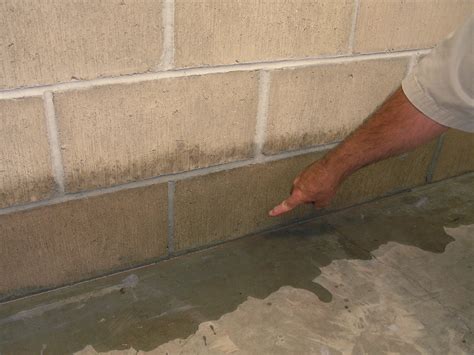 How to waterproof a basement. Now grab the roller and load it with paint from the tray. Start in the middle of the wall and work your way out using long strokes. Once the first coat goes on, wait the recommended time to dry before applying a second coat. Once dry, the waterproofer forms a watertight seal to prevent future moisture seepage. 