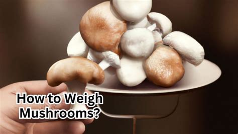 2. White Button Mushrooms. White button mushrooms are some of th