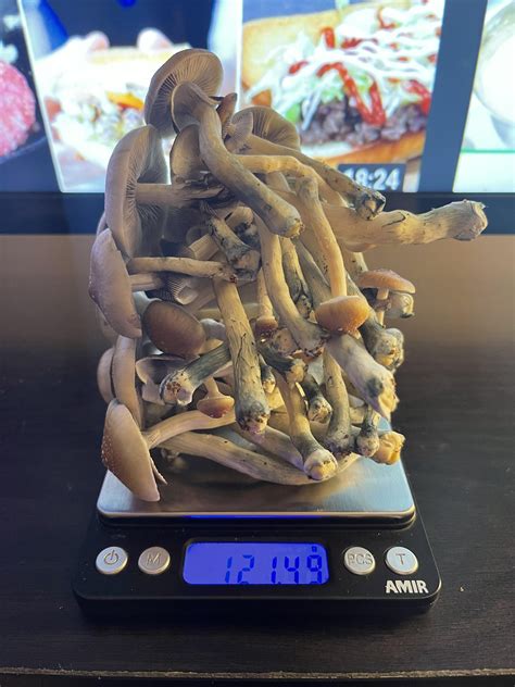 How to weigh shrooms. Cultivated mushrooms can be sold at farmers markets, grocery stores, restaurants, or other direct-sales venues. Savvy consumers and chefs look for high-. 