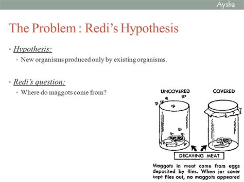 How was Francesco Redi hypothesis supported? – Sage-Answer