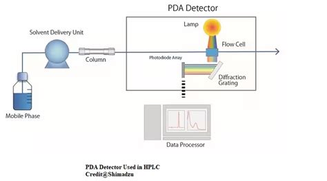 How wavelength are selected in HPLC having PDA Dectector?