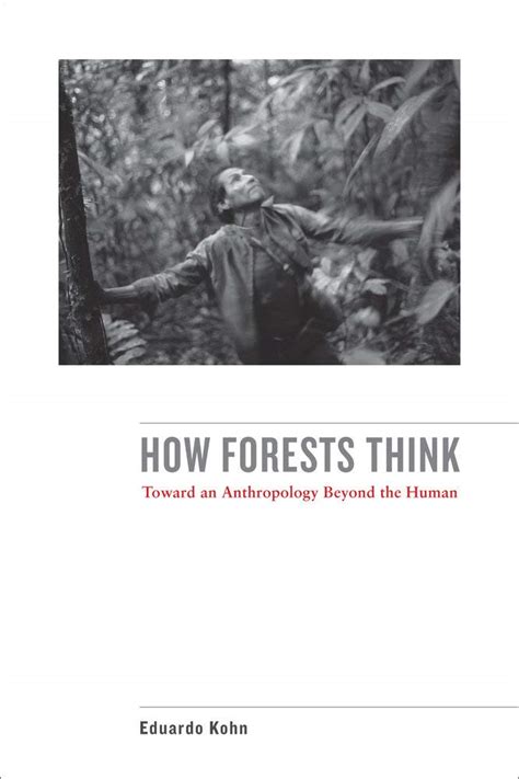 Download How Forests Think Toward An Anthropology Beyond The Human By Eduardo Kohn