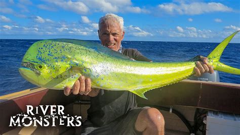 Read Online How I Fish By Jeremy Wade