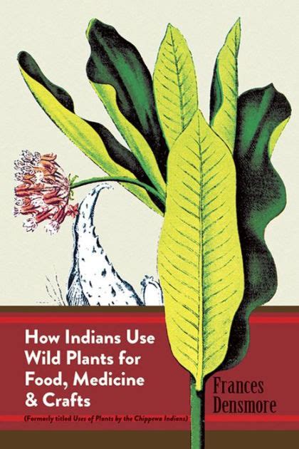Read Online How Indians Use Wild Plants For Food Medicine  Crafts By Frances Densmore