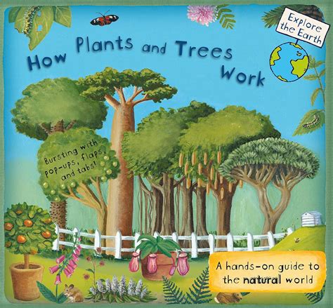Full Download How Plants And Trees Work A Handson Guide To The Natural World By Christiane Dorion