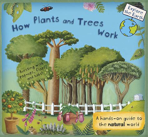 Full Download How Plants And Trees Work A Handson Guide To The Natural World By Christiane Dorion