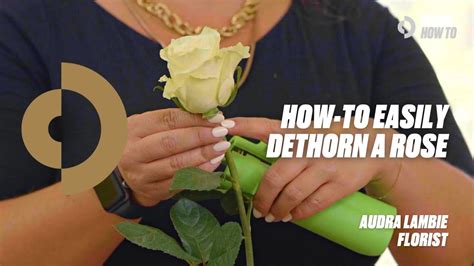 How-To Dethorn a Rose Florist Audra Lambie - YouTube