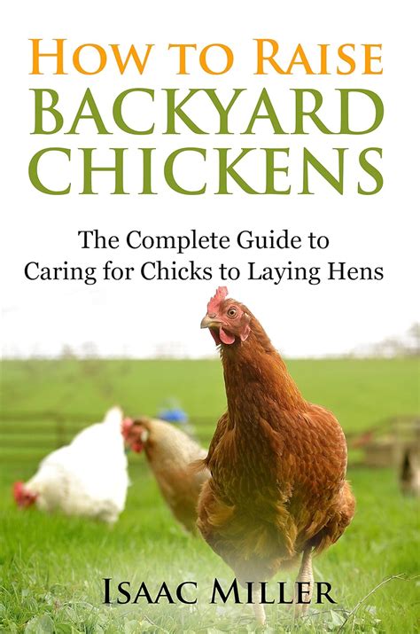 Read Online How To Raise Backyard Chickens The Complete Guide To Caring For Chicks To Laying Hens By Isaac Miller