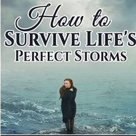 Read Online How To Survive Lifes Perfect Storms A Guide To Managing Personal Career And Relationship Transitions By Dr Klara Gubacscollins
