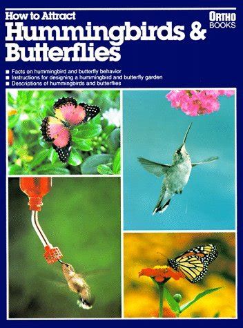 Read Online How To Attract Hummingbirds  Butterflies By Mathew Tekulsky