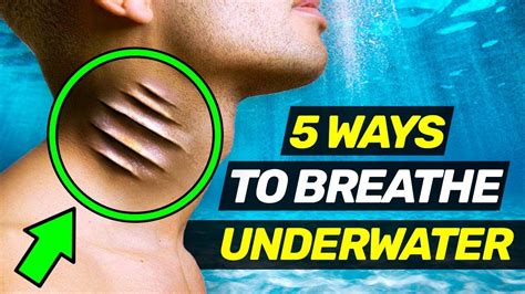Full Download How To Breathe Underwater By Julie Orringer