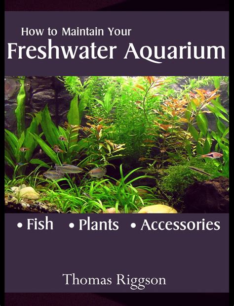 Download How To Maintain Your Freshwater Aquarium By Thomas Riggson