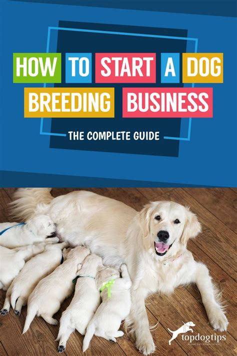 Full Download How To Start A Dog Breeding Business Learn The Business Secrets To Making Massive Money Right Now By Brian S Mahoney