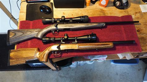 Howa vs CZ Rimfire Central Firearm Forum