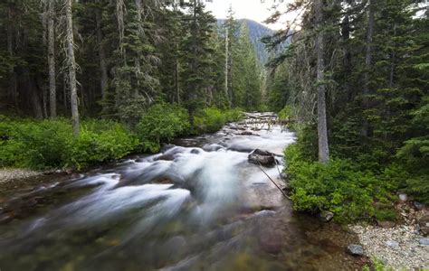 Howson Creek Trail #1349 - Okanogan-Wenatchee National …