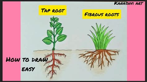 Howto Root Simple