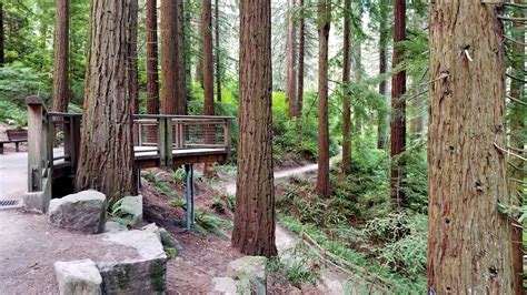 Hoyt arboretum portland. Plant Database. Tours. Select tour. Using tours. The tours are self guided walking tours in the arboretum, created by our staff. The aim of the theme tours is to … 