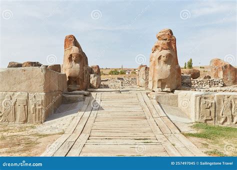 Hoyuk Halı ve Koltuk Yıkama