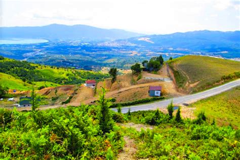 Hoyuktepe Halı ve Koltuk Yıkama