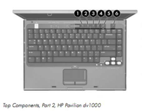 Hp pavilion dv1000 laptop service manual. - The faith a question and answer guide to the catechism of the catholic church.