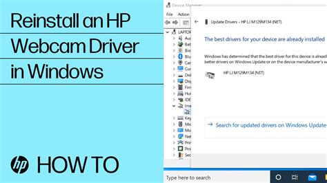 Hp webcam driver windows 11.  there is also a softpaq version of the dri...