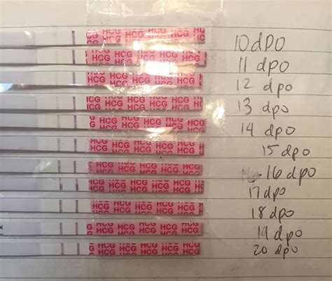 Hpt progression. Currently 5w3d, been tracking line progression to keep my mind at ease but it looks like they have stopped getting darker. Not sure if that is normal with this brand or if I should be worried. I want my dye stealer! 1st test is 11DPO, last one is today, 21DPO 