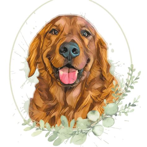 Hub City Goldens - Inicio - Facebook