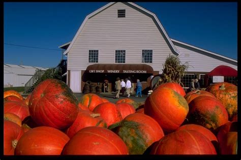 Huber Orchard Winery, United States, Indiana, Starlight - Kazzit