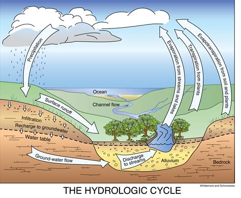 Hudrologic. Question: 12.in your own words what does it mean when a body is impared 13 how would the hudrologic cycle influence the health of watersheds 14.how would ... 