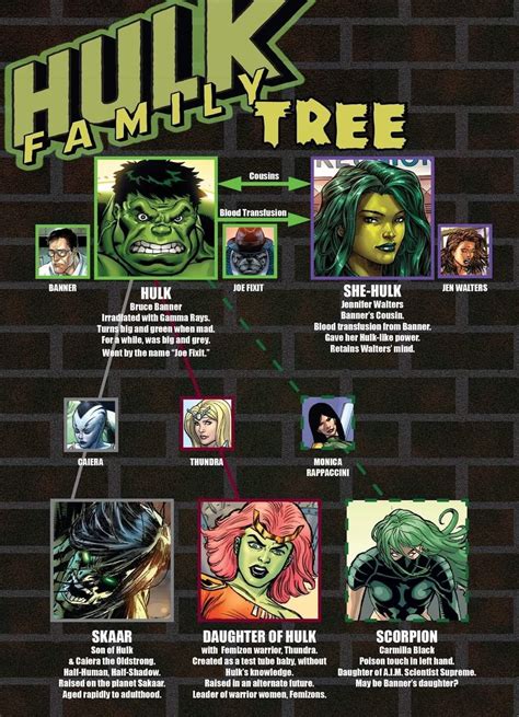 Hulk Family & Batman Adventures Spiderman Toys Videos For. 