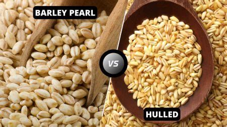Hulled barley fiber.  In this article, we will compare the nutritional con...