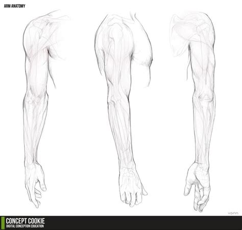 Human Arm Reference Sketch Coloring Page