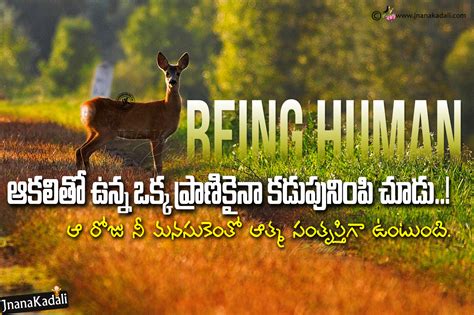 Human Being Meaning in Telugu Meaning of Human Being