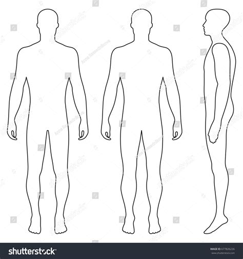 Human Body Outline Front Side Back Illustrations & Vectors