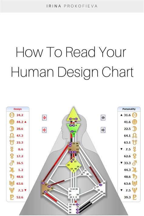 Human Design Basics The Human Design System
