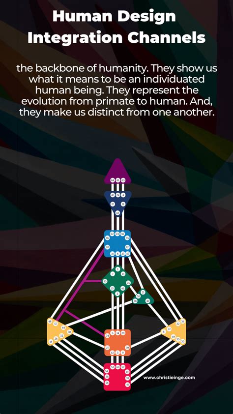 Human Design Circuits In Real Life Human design, Human design system, Design