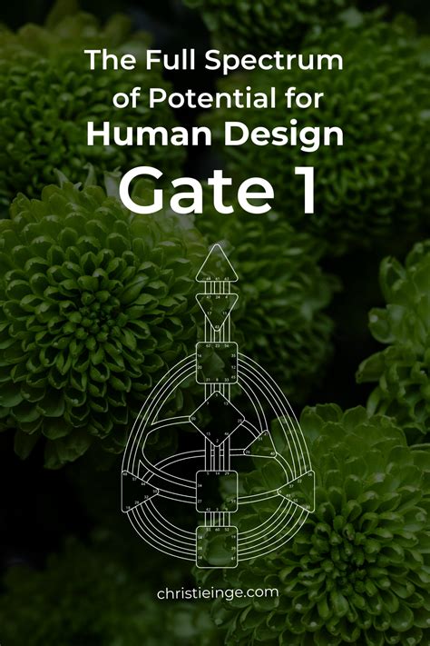 Human Design Gate 1 Human design, Human design system, Human centered design