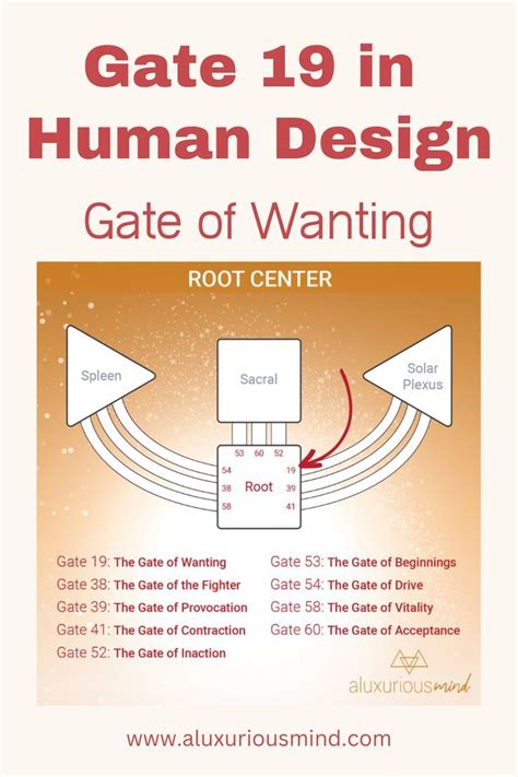 Human Design Gate 19 HumanDesignSystem