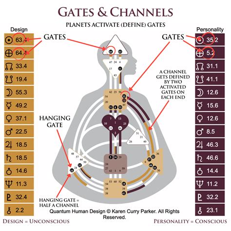 Human Design Gate 2 and Grounding in 2020 Human design, Human design system, Design