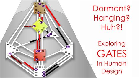 Human Design Gate 305