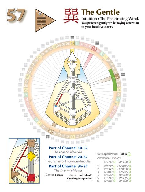 Human Design Gate 57 and Grounding Human design, Human design system, Human