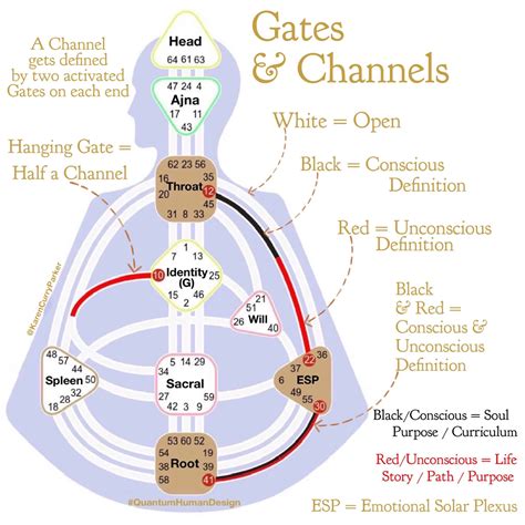 Human Design Gates Get Your Free Human Design Chart